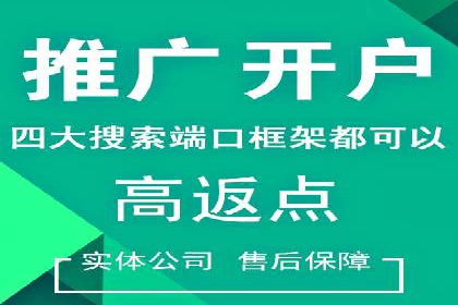 代理开户服务在海外投资中的应用案例